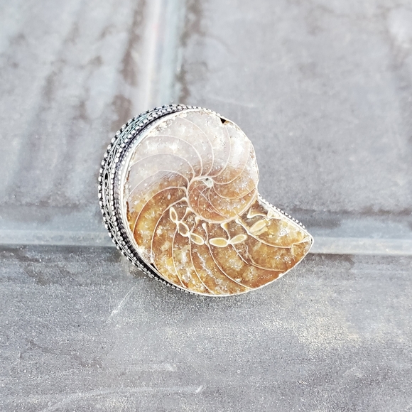 New Fossil Ammonite Silver Statement Ring. - Picture 7 of 16